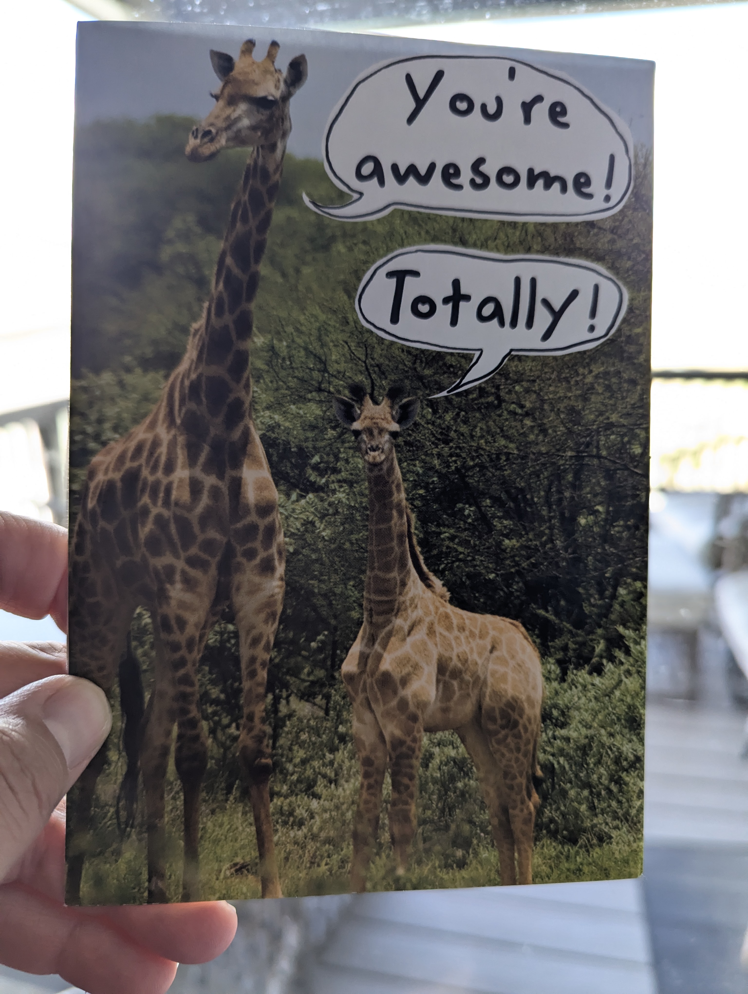 Bella Colibri, Golden, Colorado